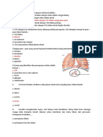 Aldi Tegar KR (04) 11 Mipa 4 (Sistem Respirasi)