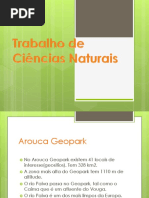 Trabalho de Ciências Naturais Carolina