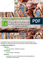5_digestivo (1).pdf