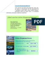 CICLOS BIOGEOQUIMICOS.docx