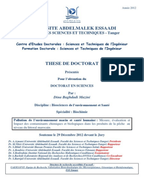 Theze de Doctorat Titouan PDF, PDF, Doctorat