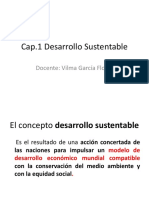 Cap I Desarrollo Sustentable I,II