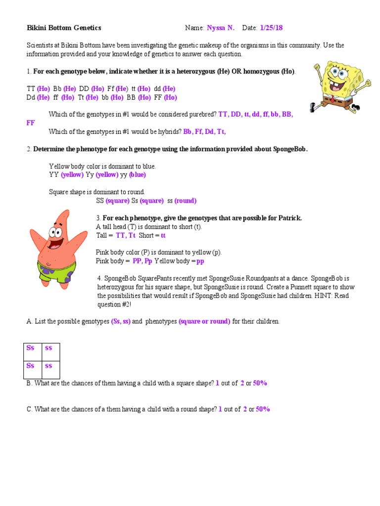 bikini-bottom-genetics-pdf-dominance-genetics-zygosity