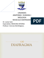 15.M. Diafragma