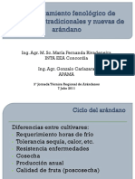 Script-Tmp-Fenologa Nuevas y Tradicionales Arandanos PDF