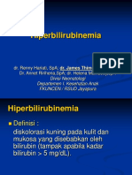 Hiperbilirubinemia Kuliah 2014