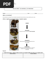 4° Guía Los Ecosistemas y Sus Interacciones