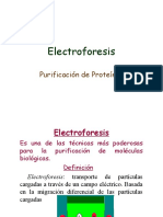 Electroforesis