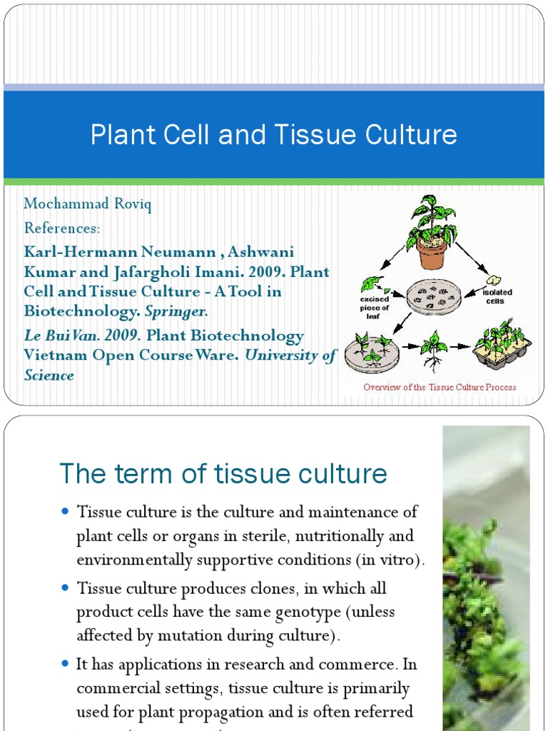2# Plant Cell and Tissue Culture | PDF | Seed | Germination