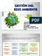 GESTIÒN DEL MEDIO AMBIENTE.pptx