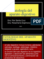 Patologias Del Aparato Digestivo