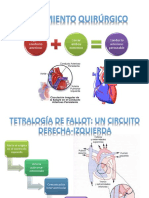 Efectos Perjudiciales de Las Fases Tardías de Hipertrofia Cardíaca