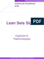Lean Seis Sigma_C06
