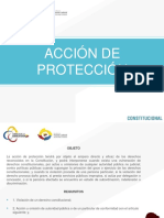 Accion de Proteccion