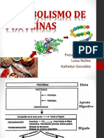 Metabolismo de Proteínas 1