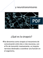 Sinapsis y Neurotransmisores