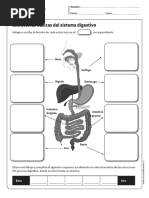 Guia 5° Sistema Digestivo Jueves 24.05 PDF