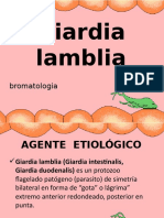 Giardia Lamblia