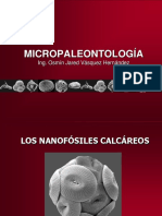 Nanofósiles Calcáreos