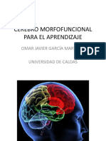 Cerebro Morfo Funcional