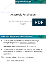 Anaerobic Respiration: or The Making of Energy With Out Oxygen