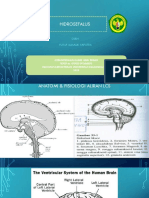 Yusuf - Hidrosefalus