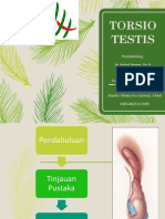 Torsio Testis