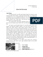 virus-epstein-barr.pdf