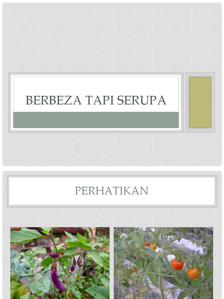 Berbeza Tapi Serupa