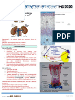 Adrenal Cortex DR - Gomez