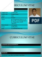 Curriculum Vitae EL Candra