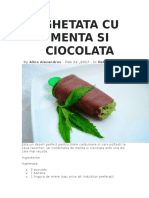 Inghetata Cu Menta Si Ciocolata