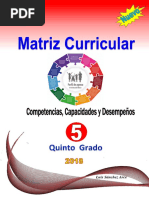 5to_Matriz Curricular_ 2018 (1)