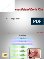 1.1 Organ Deria