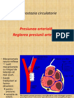 Homeostazia Circulatorie