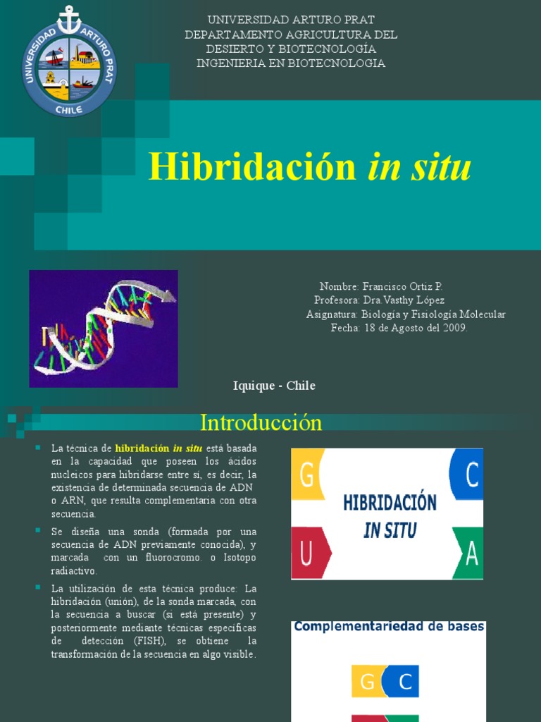 Hibridacion in Situ | PDF