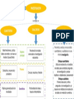 Mapa Conceptual Enfoques de Investigacion