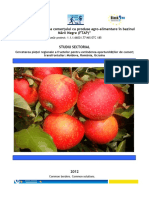 Raport Piata Fructelor.pdf