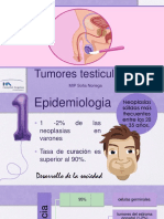 Tumores Testiculares