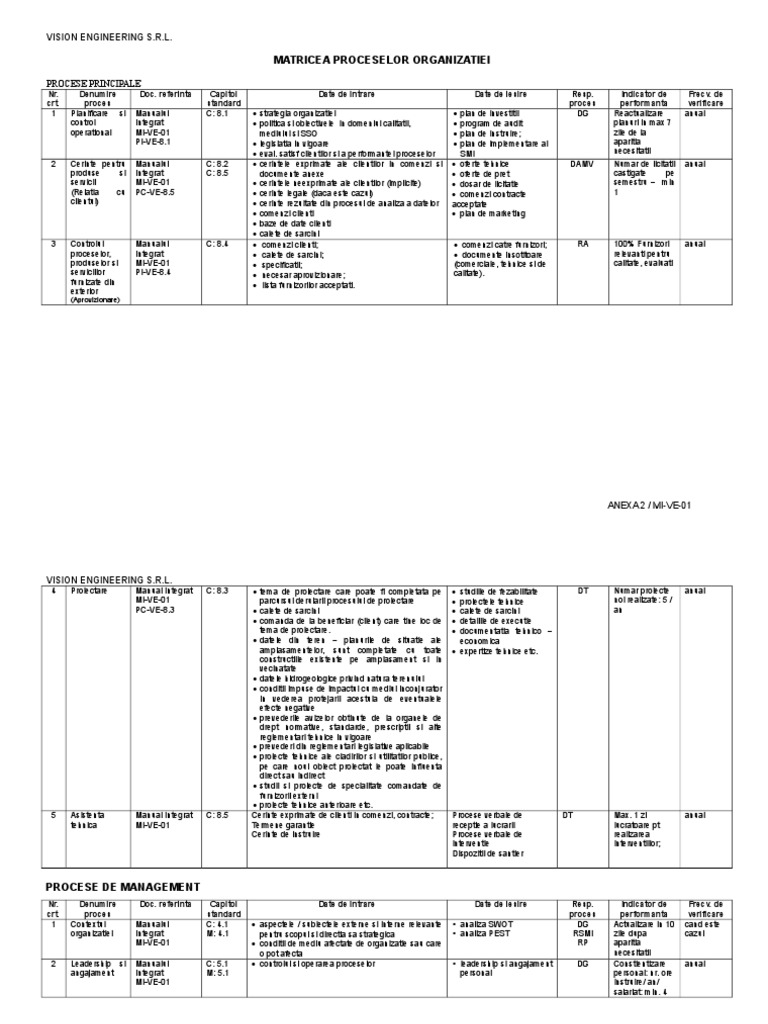 Anexa 2 - Matrice - Procese | PDF