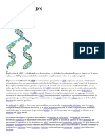 Replicación de ADN