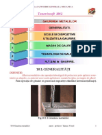 T10 Gaurirea PDF