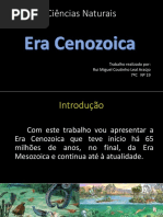 Era Cenozoica