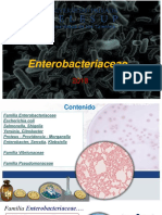 TEORIA 7   Enterobacterias