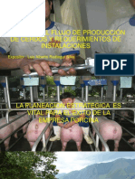 Calculo Del Flujo de Produccion de Cerdos