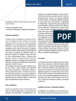 anatomia olho.pdf