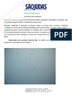 EXPERIMENTO - Observação de Células Epiteliais Da Mucosa Oral PDF