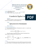 Consulta 2 Aplicación de Los Determinantes