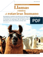Llamas Contra El Rotavirus Humano