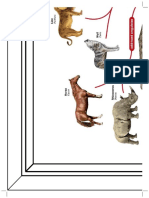 Mapa Mural 3x6 Evol Animales PDF